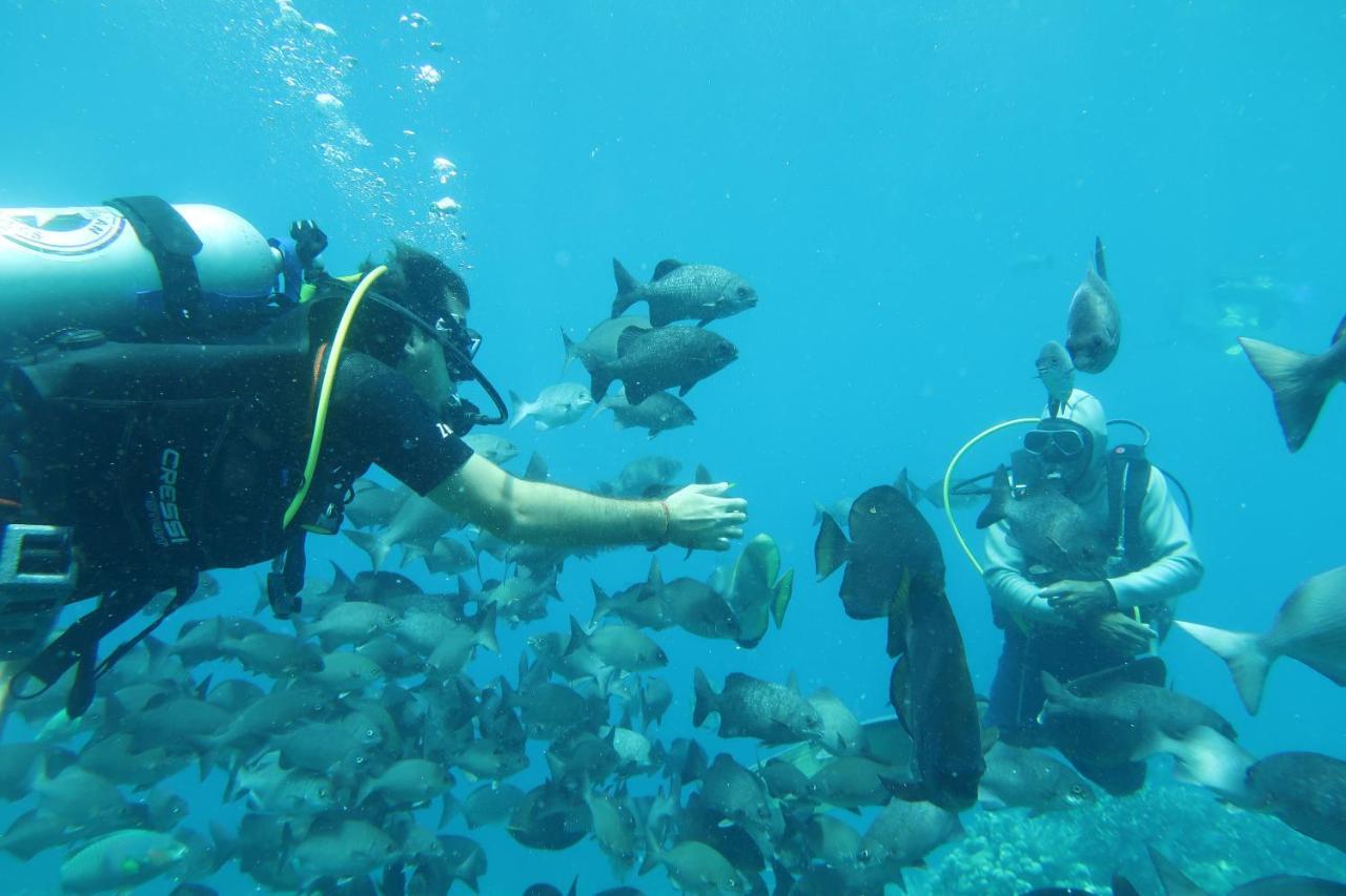 Tabari Dive Lodge Pulau Mansuar Zewnętrze zdjęcie