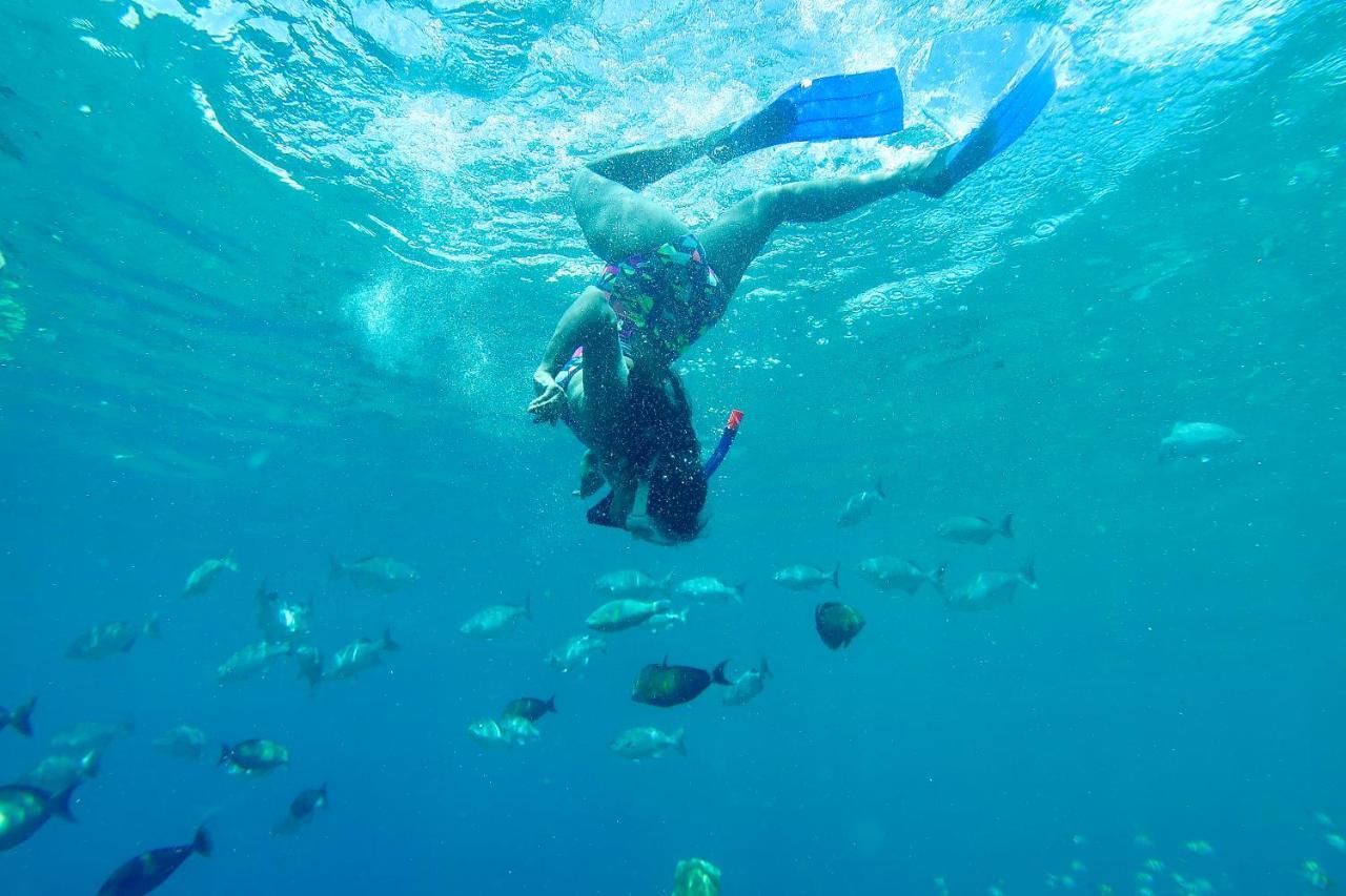 Tabari Dive Lodge Pulau Mansuar Zewnętrze zdjęcie